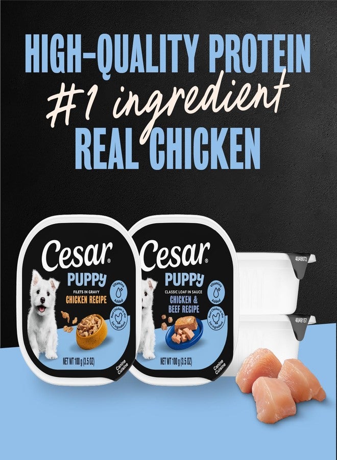 Cesar Puppy Classic Loaf in Sauce and Filets in Gravy Wet Dog Food Variety Pack, Chicken & Beef and Chicken Recipes, 3.5 oz. Easy Peel Trays, Dog Food Toppers, 12 Count (Pack of 2) - Image 4